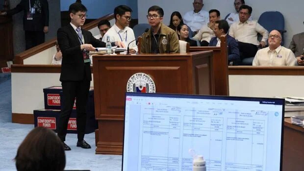 COA auditor: No record presumes funds went to VP’s personal use