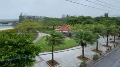 Typhoon Dolphin batters Japan's Okinawa before bearing down on China