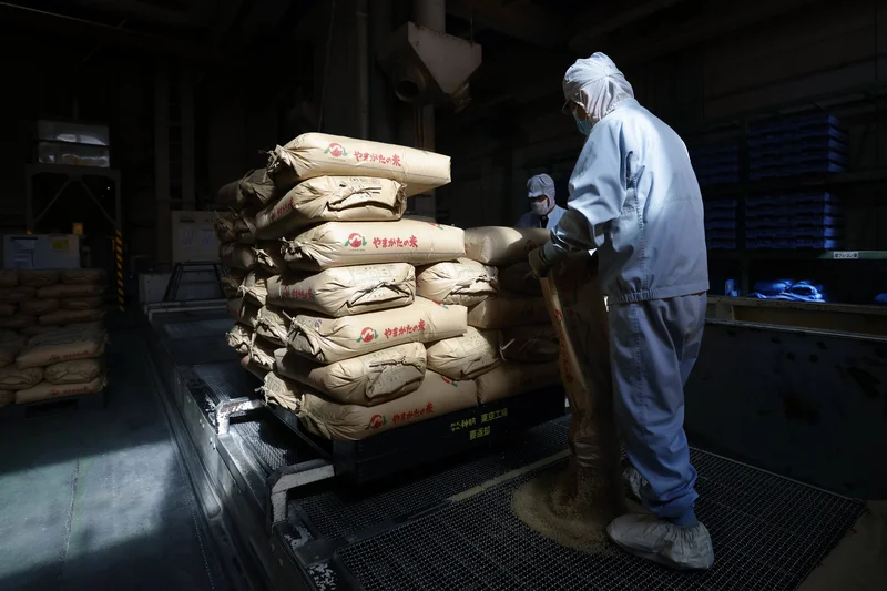 Japan wholesale inflation eases slightly to 7.2%, undershooting expectations