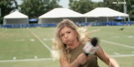 What Big Bug “Attacked” An ESPN Reporter At Rams Camp?