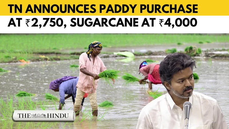Tamil Nadu announces record incentives for farmers