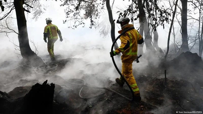 Wildfires: Belgium battles blaze, France's Lecornu jeered