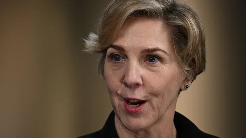 This Australian could hand Musk a trillion-dollar payday