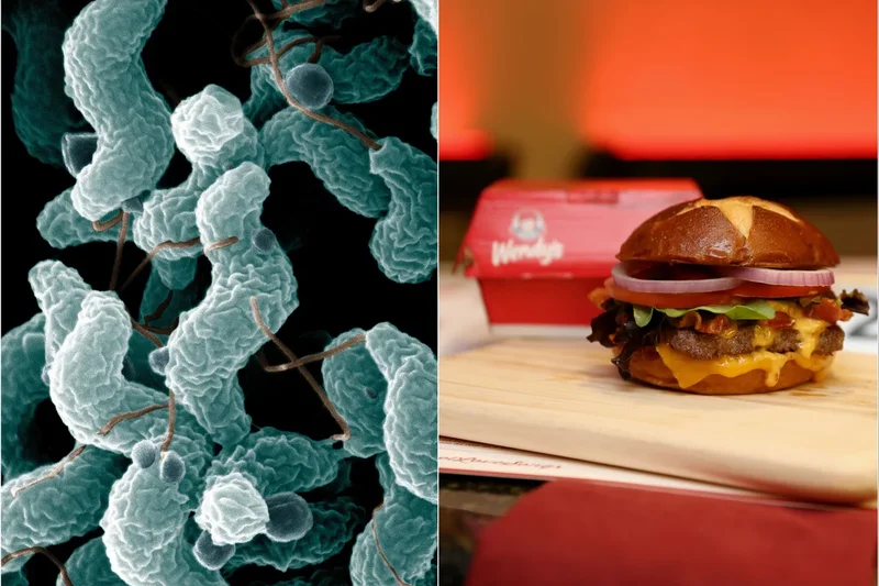 Exclusive: Chicago woman hospitalized after eating ‘bacteria-tainted’ Wendy’s double cheeseburger, lawsuit says