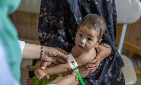 Afghanistan hunger crisis intensifies as millions left without food aid