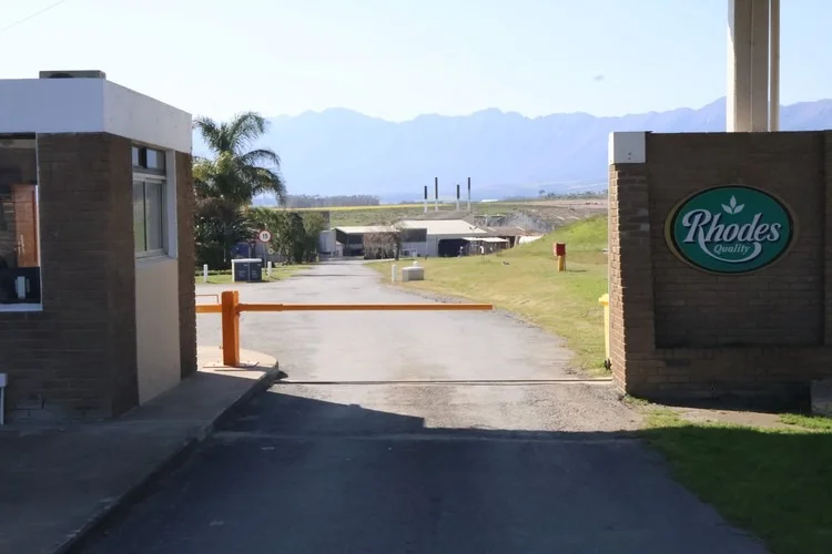 GROUNDUP: Tulbagh factory closure threatens thousands of jobs, way of life