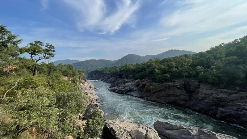 Tamil Nadu files petition in Supreme Court seeking Cauvery water