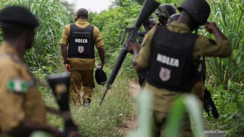 Nigeria dismantles its largest meth lab as Mexican cartel push into country