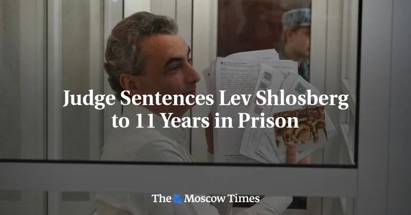 Judge Sentences Lev Shlosberg to 11 Years in Prison