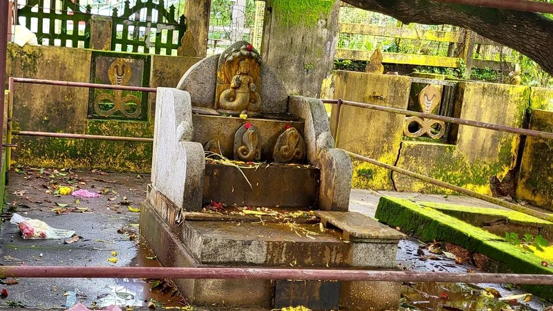 Mangaluru corporation urges people to celebrate plastic-free Nagara Panchami