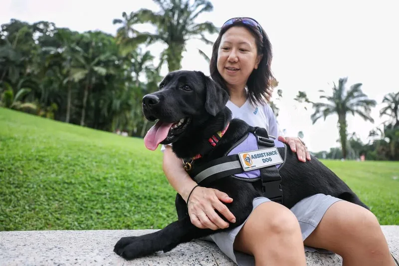 More than a pet: Can autism assistance dogs gain a foothold in Singapore?
