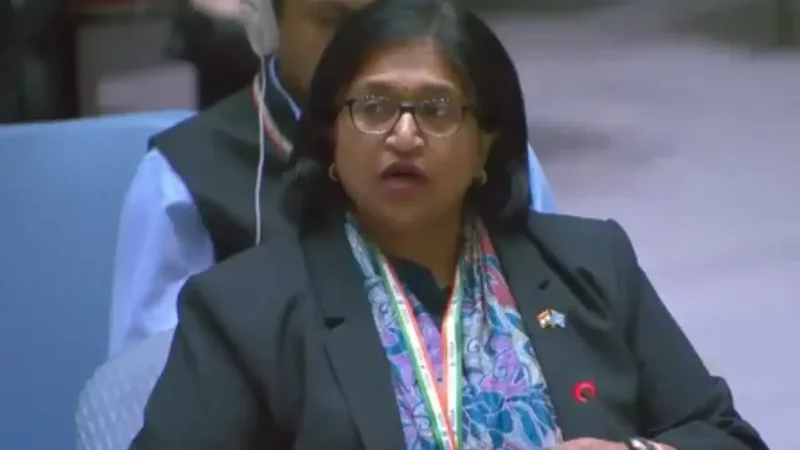‘Must not be used to legitimise terrorists’: India seeks transparency in UNSC