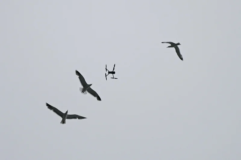 National Guard Troops Deploy Tech That Distinguishes Drones From Birds