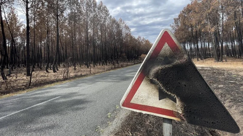 Devastated by wildfire, the village of Le Porge pins hopes for support on PM visit