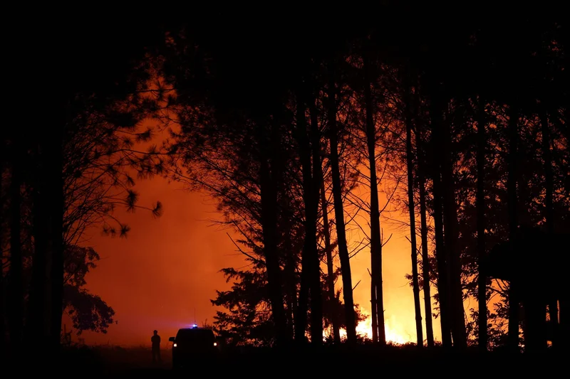 Wildfires grip Europe as heat dries forests, strains firefighters