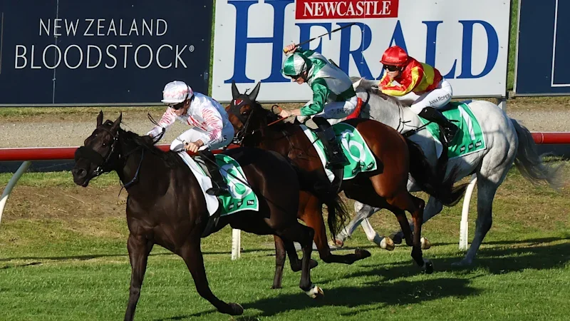 Race-by-race preview and tips for Newcastle on Thursday