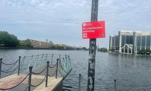 Boy, 14, dies after jumping into 'no swimming' area of River Thames during heatwave