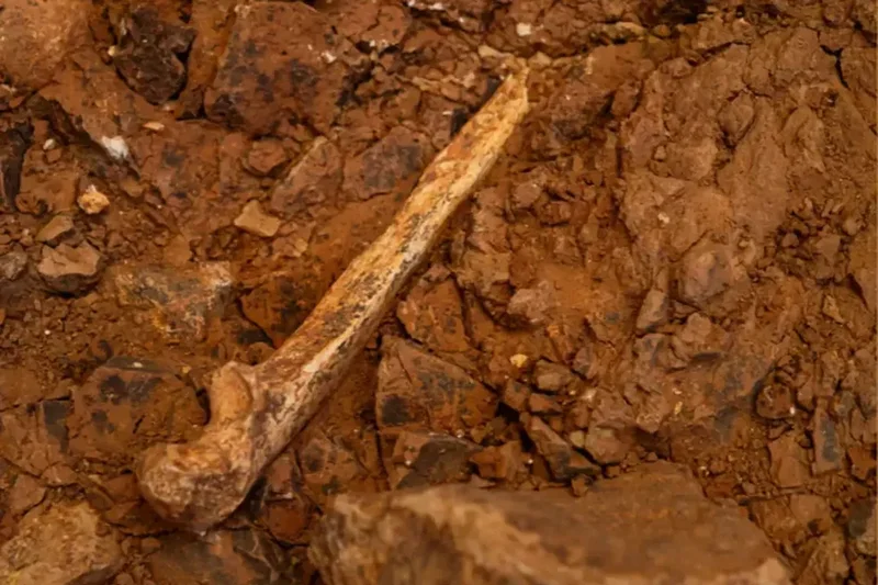 Human ancestor fossils unearthed in Spain point to grim secret of first Europeans