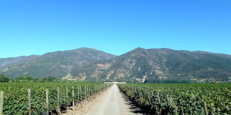 Santiago to Host World’s 50 Best Vineyards 2026 Awards
