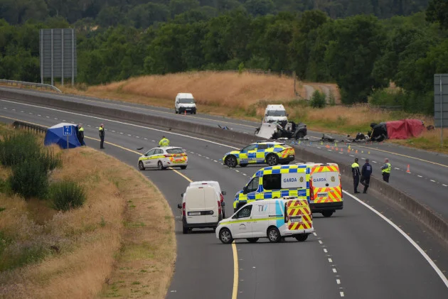MEP says driving the wrong way down the motorway should be classed as attempted murder