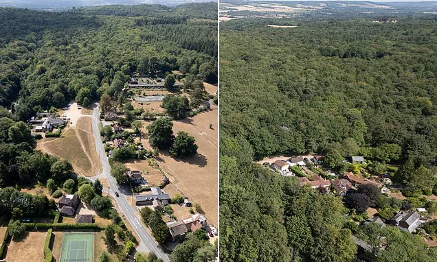 How the other half live! The road divided over a hosepipe ban with half of residents forbidden to water their lawns... while neighbours have luscious green gardens