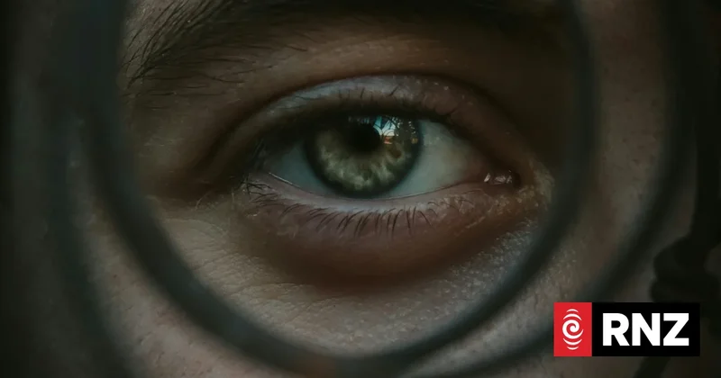 Overhaul of eyewitness identification laws needed to 'mitigate harm' - Commissioner