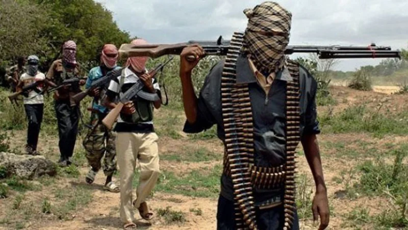 Bandits storm Niger communities, kidnap many villagers