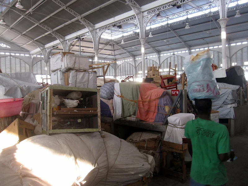 Haiti TPS Ends: 350,000 Face New Reality