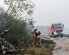 Wildfires rage in France and Greece as Belgium tackles enormous blaze – Europe live
