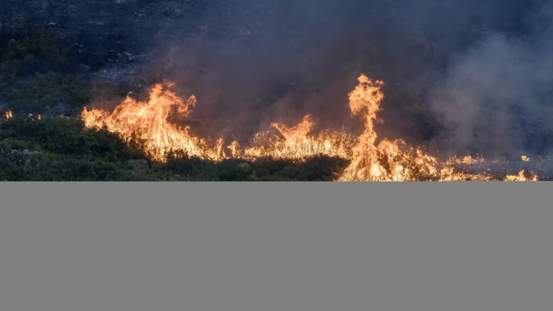 Western Europe saw hottest June-July on record as climate change fuels drought, wildfires