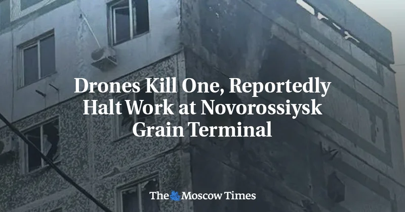 Drones Kill One, Reportedly Halt Work at Novorossiysk Grain Terminal