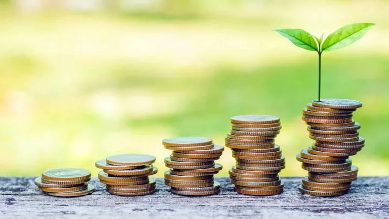 FINANCE WELLNESS COACH: Three principles to guide smart investment decisions