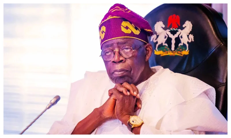 Tinubu told to resign over alleged missing primary, secondary school certificates