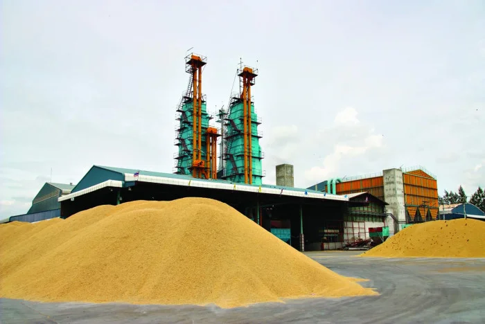 El Niño effect may result in rice exports of 7m tonnes