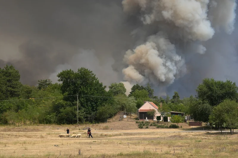 Serbia races to contain wildfires as Europe’s blistering heat wave grips the Balkans