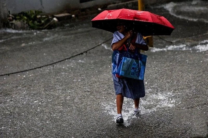 EDCOM 2 pushes for granular class suspensions