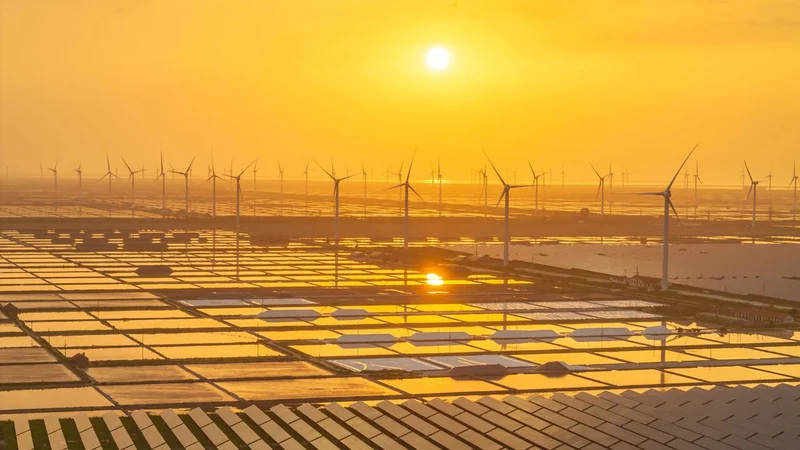 'We're a bit late on the case, but we are on the case': Author Fred Pearce on the rise of renewables, a defused population bomb, and letting nature find its own way