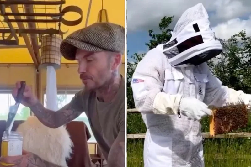 Amateur beekeeper David Beckham pays tribute to ‘little creatures’ for World Honey Bee Day