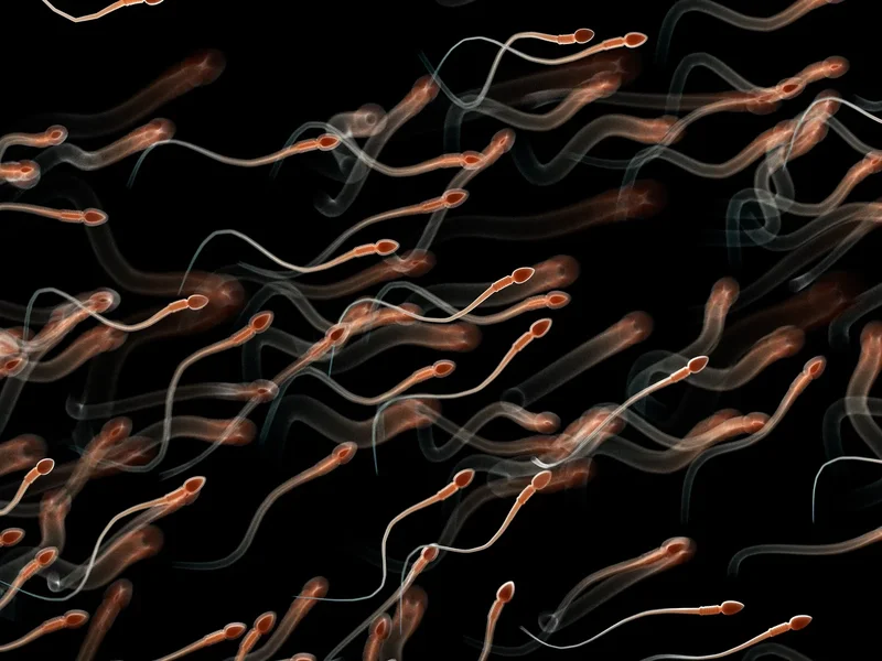 Sperm with DNA damage might be the true cause of repeated miscarriages