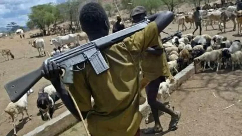 Suspected Fulani militants attack another Plateau community, kill pastor’s son