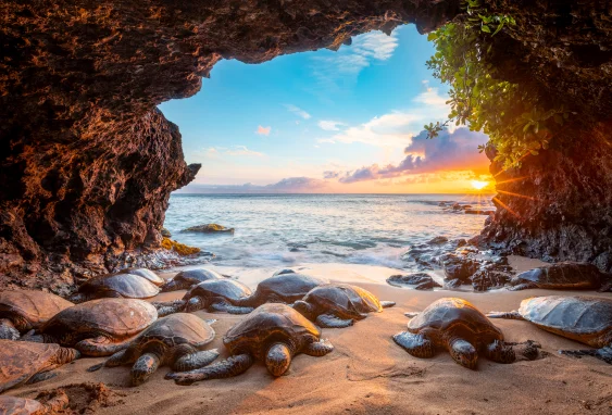 The Best Ocean Photos of the Year