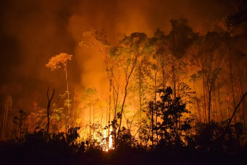 A ‘Super’ El Niño Could Push the Amazon Toward a Tipping Point, Scientists Warn